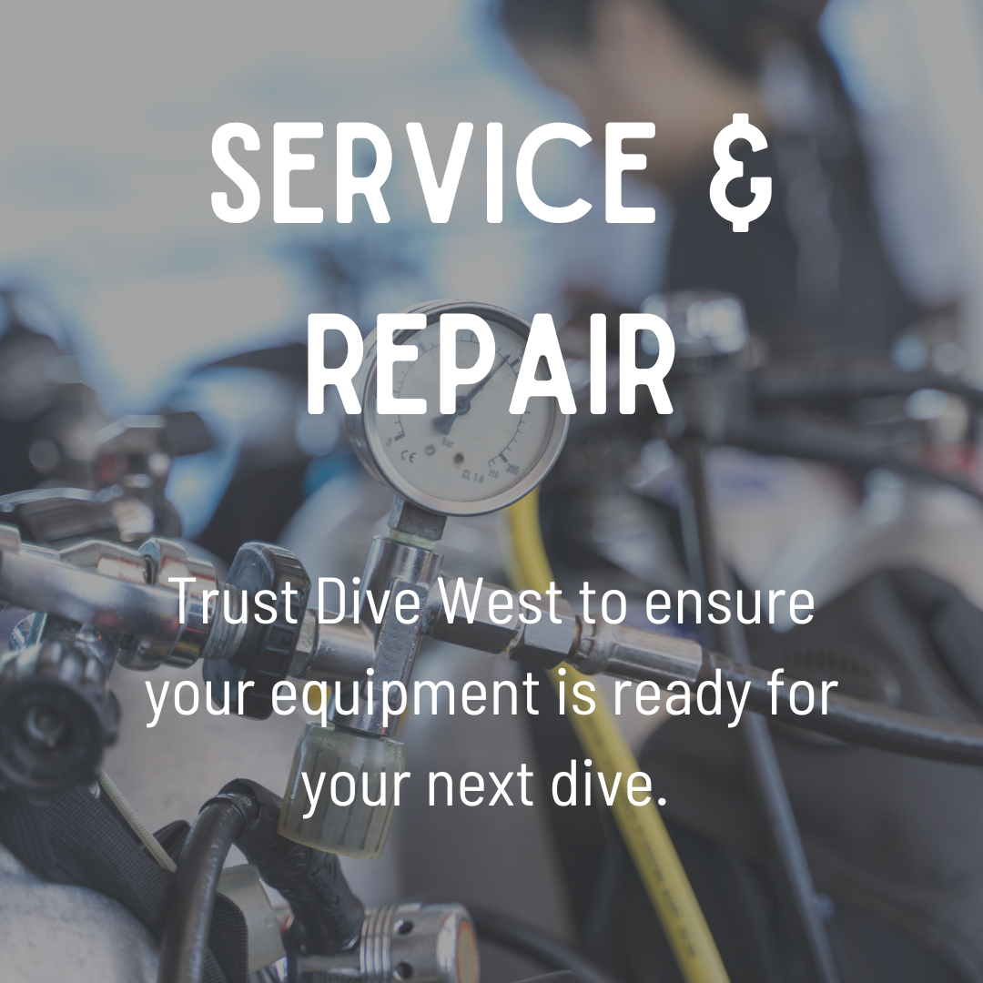 Scuba Diving Classes, Equipment & Travel in Dallas, TX since 1972 Dive West